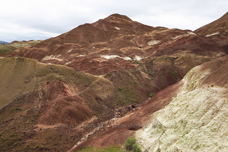 claystone hills [near Sorefoot Creek, Wasco County, Oregon]