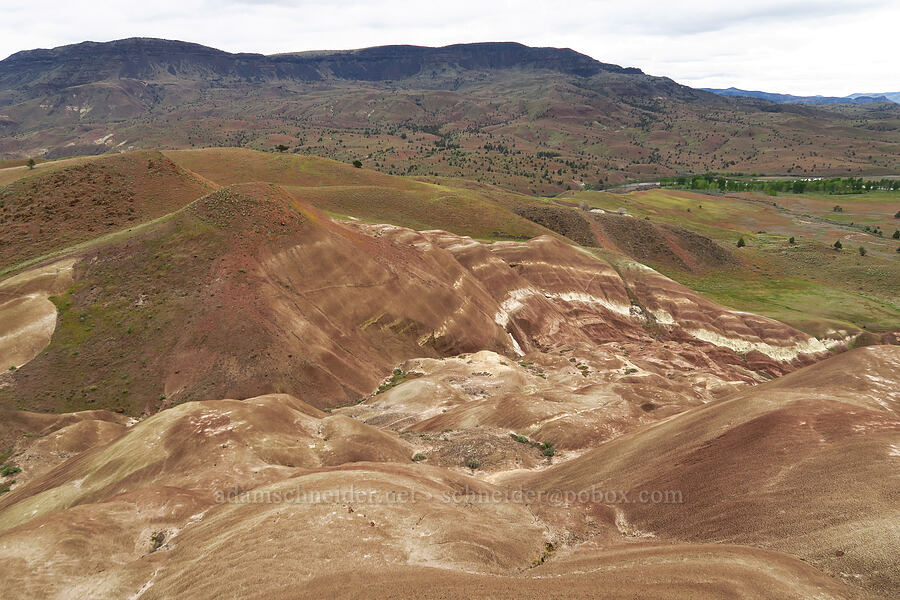 claystone hills [near Sorefoot Creek, Wasco County, Oregon]