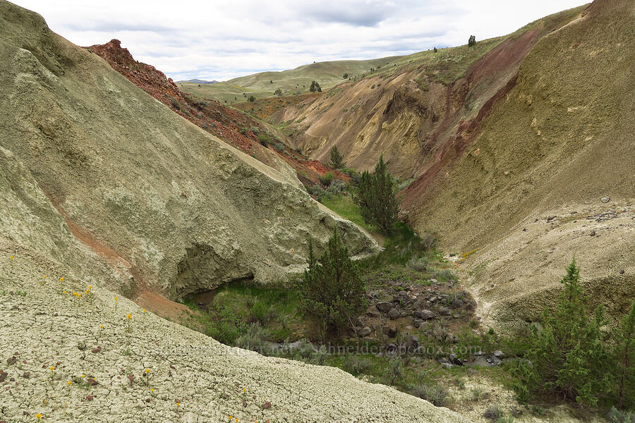 Sorefoot Creek [near Sorefoot Creek, Wasco County, Oregon]