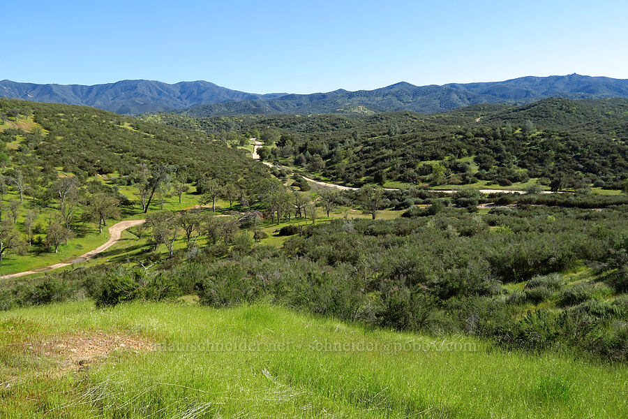 La Panza Range [Red Hill Road, Los Padres National Forest, San Luis Obispo County, California]