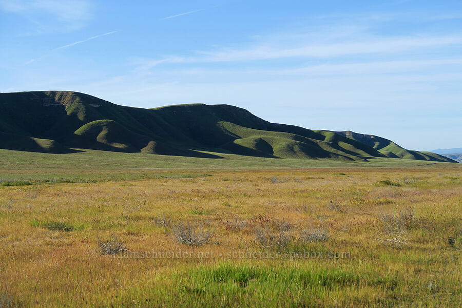 Camatta Canyon [Shell Creek Road, San Luis Obispo County, California]