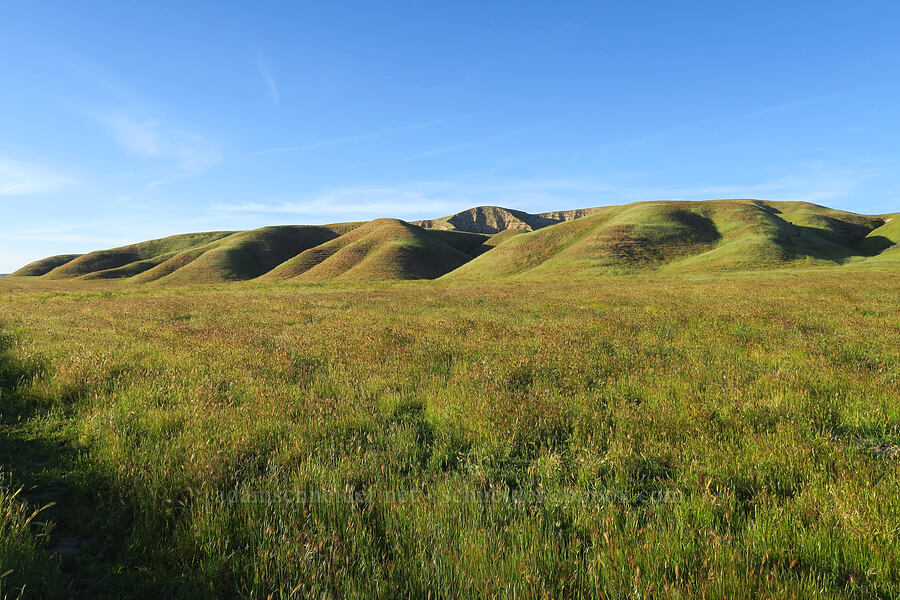 hills above Shandon Valley [Shandon San Juan Road, San Luis Obispo County, California]