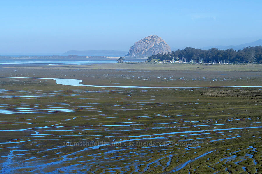 Morro Bay & Morro Rock [Elfin Forest Natural Area, San Luis Obispo County, California]