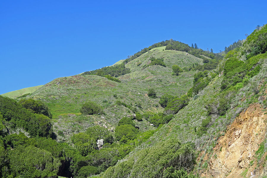 Big Sur hills [Highway 1, Monterey County, California]