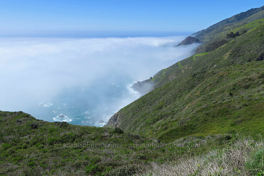 Big Sur coast [Highway 1, Monterey County, California]