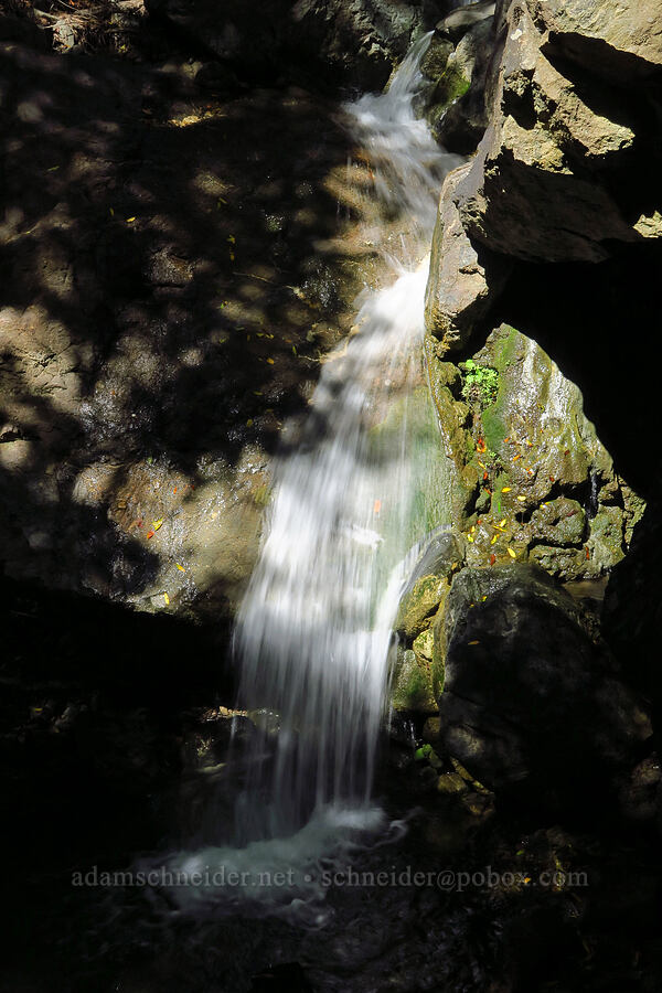 Soda Spring Creek [Soda Springs Trail, Los Padres National Forest, Monterey County, California]