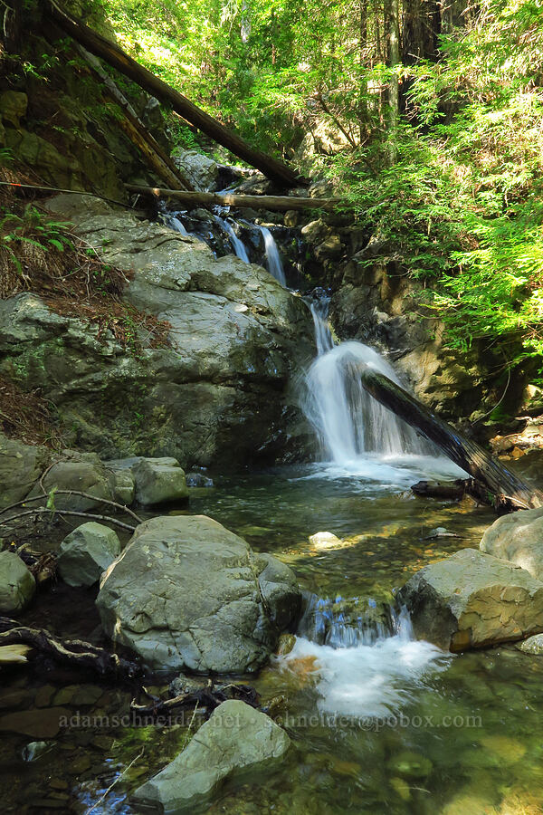 cascades [Redwood Gulch, Monterey County, California]