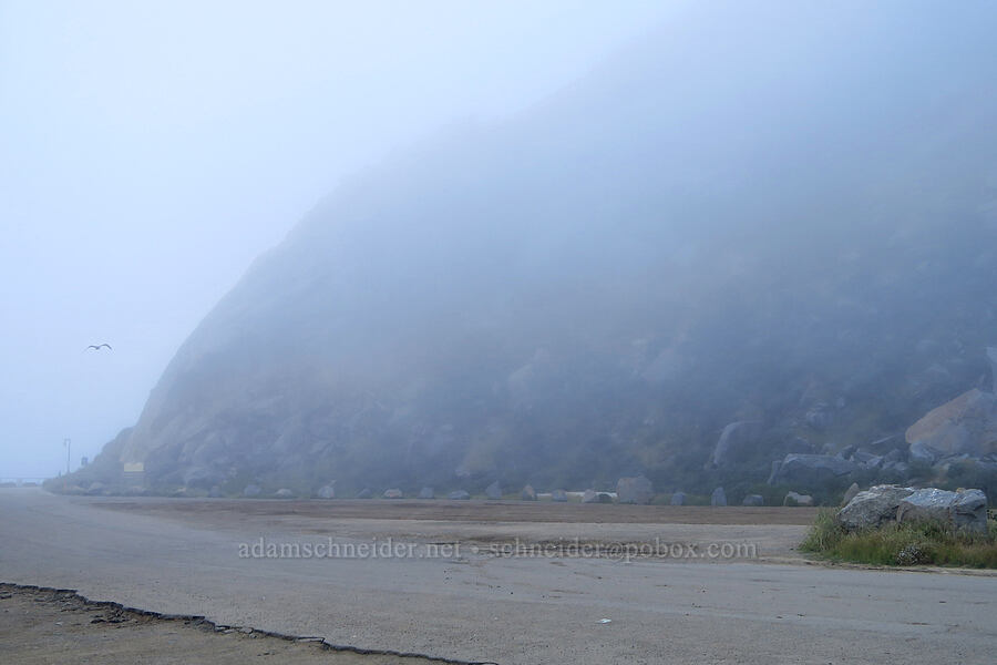 Morro Rock in the fog [Morro Rock Beach, Morro Bay, San Luis Obispo County, California]