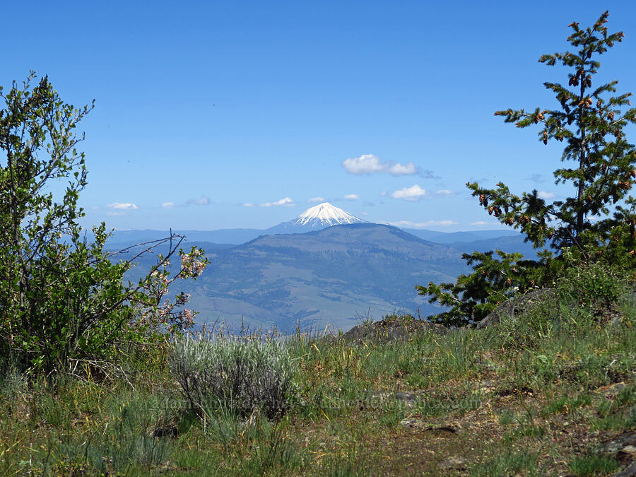 Mount McLoughlin [Bald Mountain, Jackson County, Oregon]