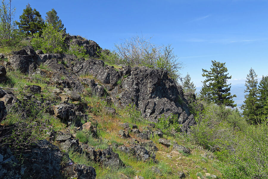 rocky slopes [Bald Mountain, Jackson County, Oregon]