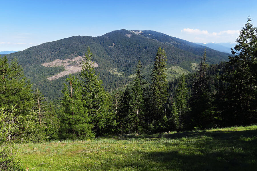 Wagner Butte [Bald Mountain, Jackson County, Oregon]