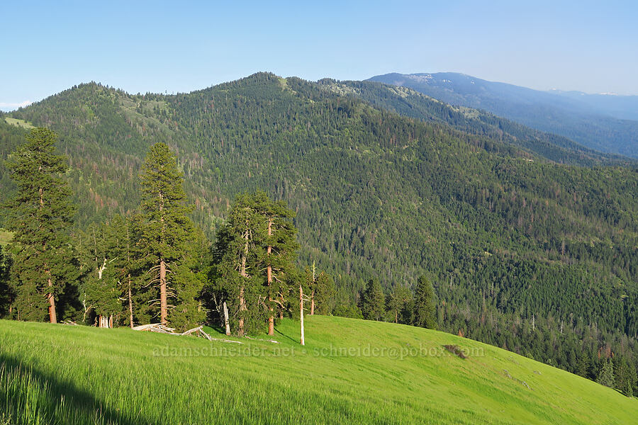 Bald Mountain [Anderson Butte Road, Jackson County, Oregon]