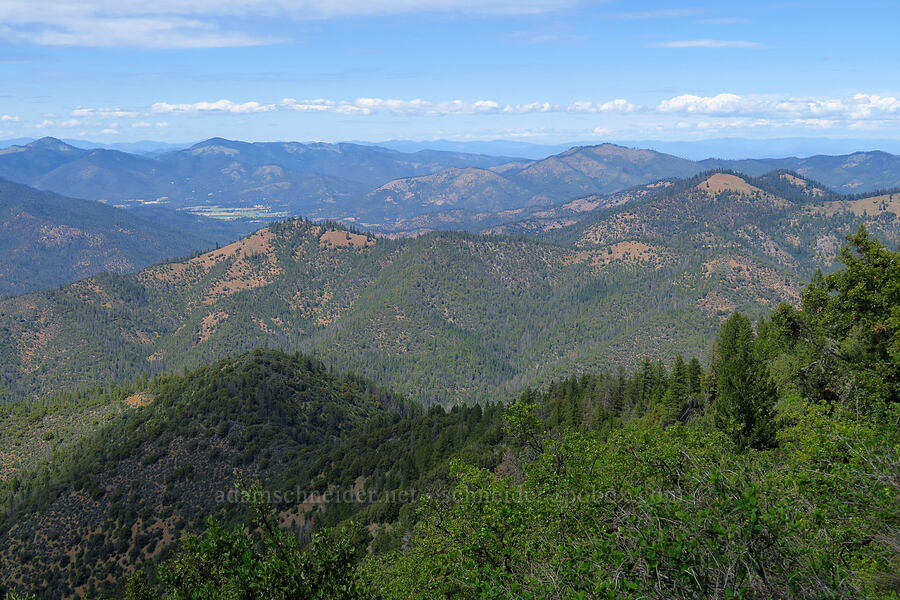 view to the north [Baldy Peak, Rogue River-Siskiyou National Forest, Jackson County, Oregon]