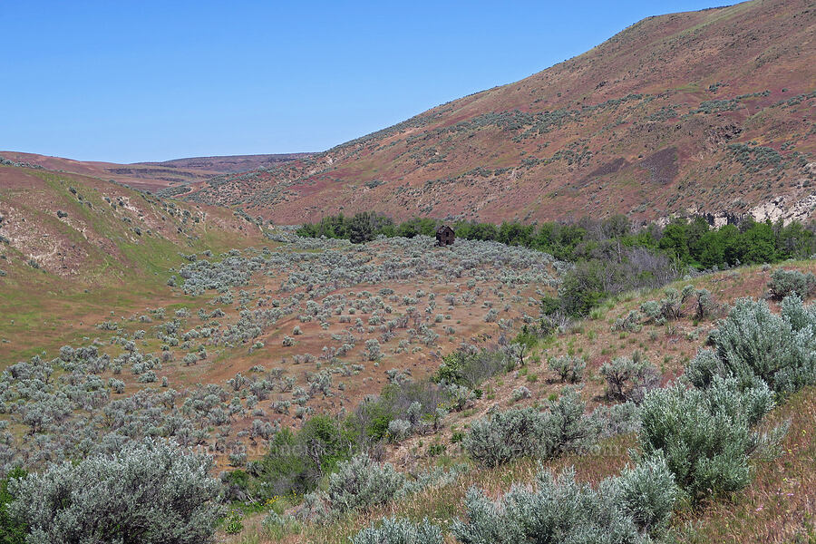 Alder Creek Canyon [Alderdale Road, Klickitat County, Washington]