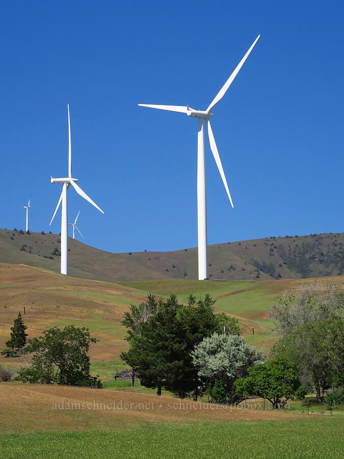 wind turbines [Highway 14, Klickitat County, Washington]