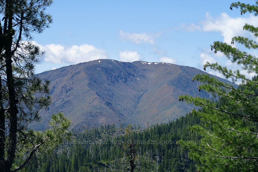 snow on Fiddler Mountain [Forest Road 4201, Rogue River-Siskiyou National Forest, Josephine County, Oregon]