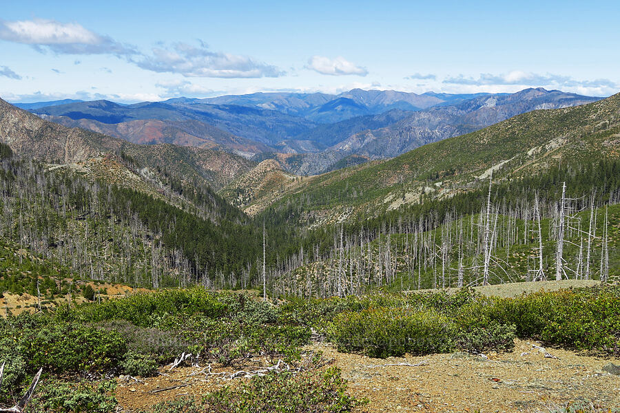 Kalmiopsis Wilderness [Babyfoot Lake Trailhead, Rogue River-Siskiyou National Forest, Curry County, Oregon]