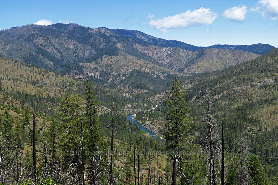 Nihwik Mountain & Illinois River [Days Gulch Botanical Area, Rogue River-Siskiyou National Forest, Josephine County, Oregon]