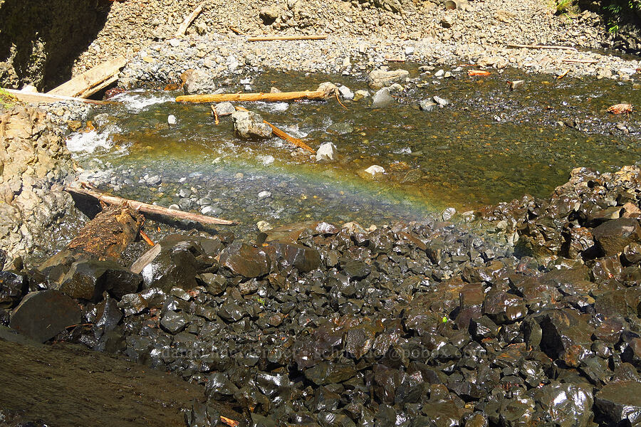 spray rainbow [Gorge Trail #400, John B. Yeon State Park, Multnomah County, Oregon]