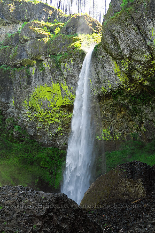 Elowah Falls [Gorge Trail #400, John B. Yeon State Park, Multnomah County, Oregon]