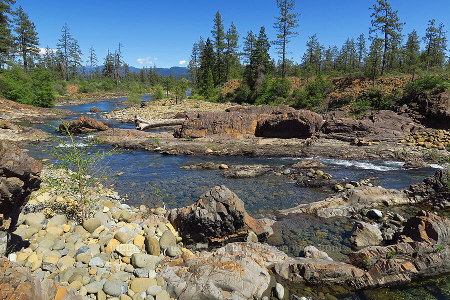 Rough & Ready Creek [Rough and Ready Botanical Area, Rogue River-Siskiyou National Forest, Josephine County, Oregon]