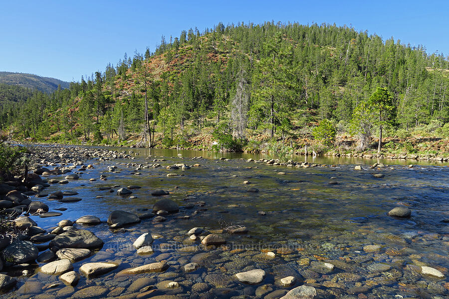 Rough & Ready Creek [Rough and Ready Botanical Area, Rogue River-Siskiyou National Forest, Josephine County, Oregon]