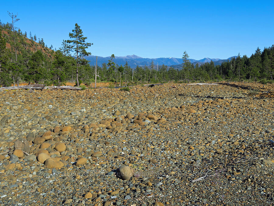 dry creek bed [Rough and Ready Botanical Area, Rogue River-Siskiyou National Forest, Josephine County, Oregon]