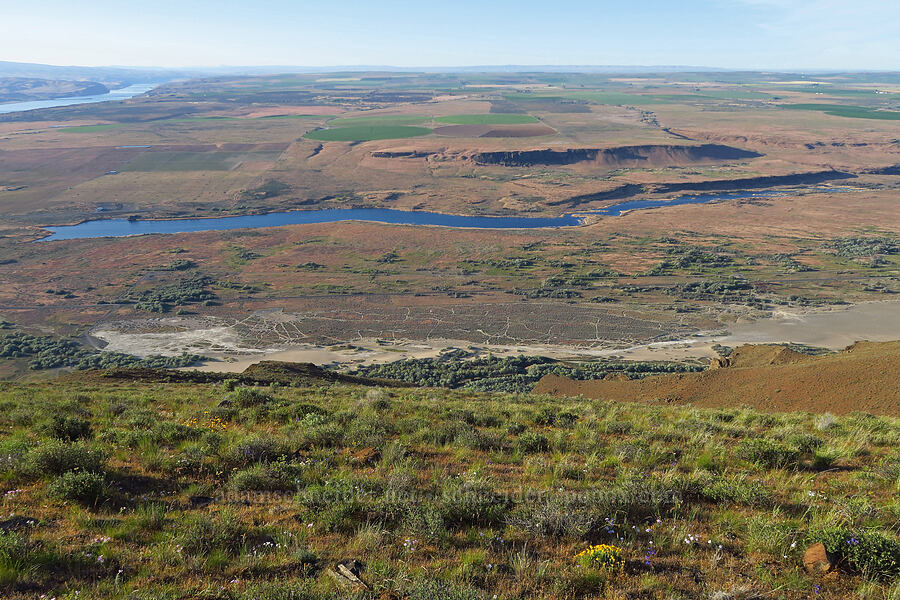 Crab Creek Coulee [Saddle Mountains, Grant County, Washington]