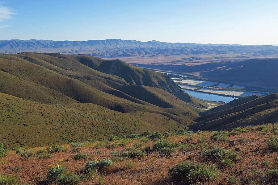 Saddle Mountains, Columbia River, & Umntanum Ridge [Saddle Mountains, Grant County, Washington]