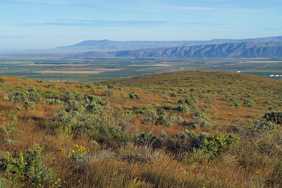 Wahluke Slope, Umtanum Ridge, & Rattlesnake Mountain [Saddle Mountains, Grant County, Washington]