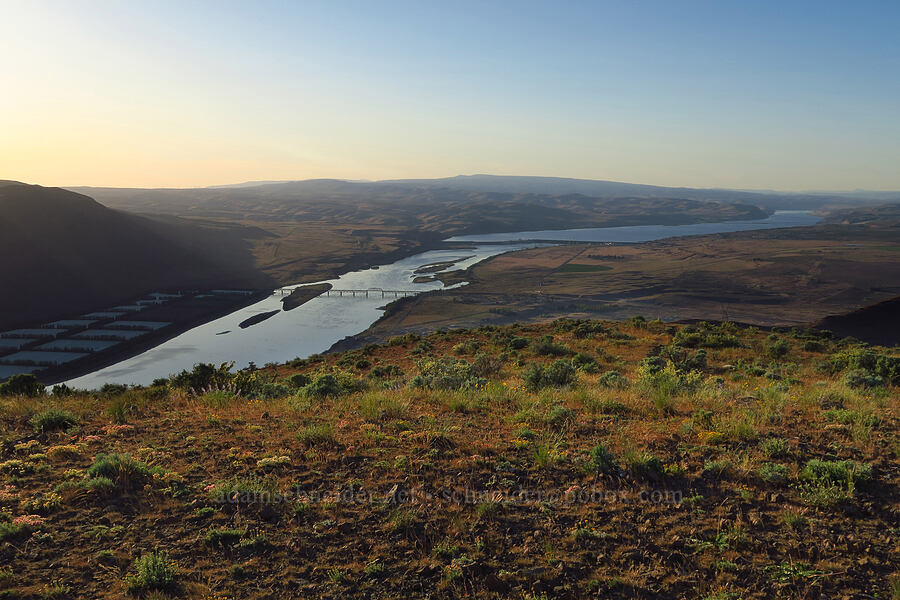 Columbia River [Saddle Mountains, Grant County, Washington]