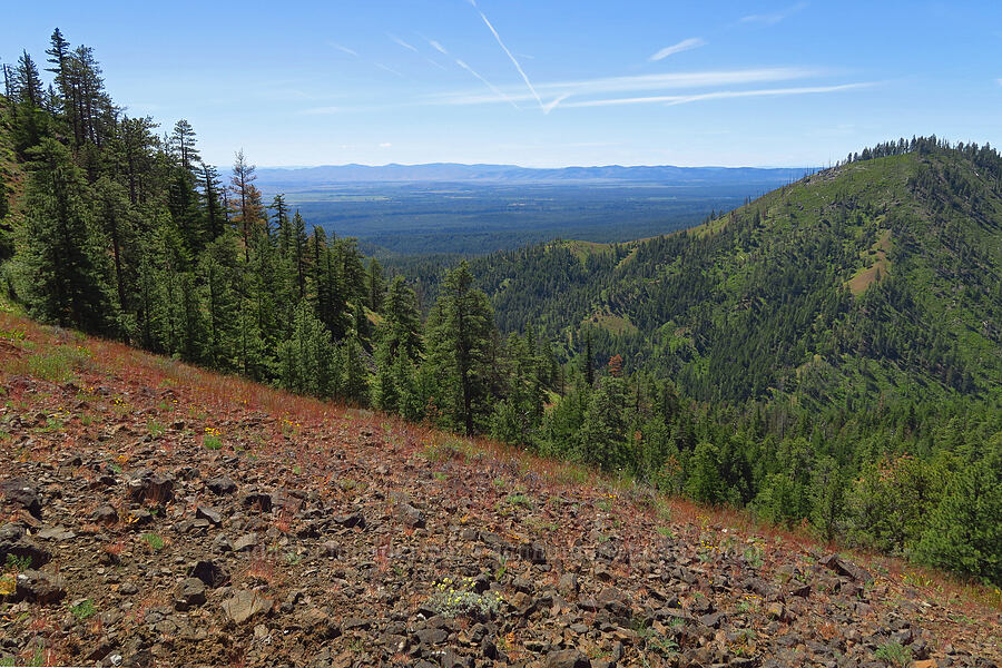 view to the southeast [Hootnanny Point, Mt. Hood National Forest, Wasco County, Oregon]