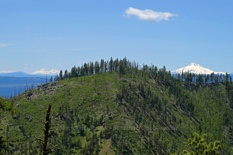 Three Sisters, Ball Point, & Mount Jefferson [Hootnanny Point, Mt. Hood National Forest, Wasco County, Oregon]