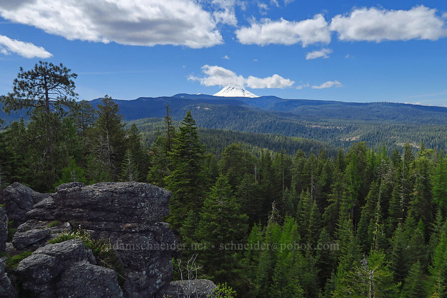 view toward Mount Hood [Jordan Butte, Mt. Hood National Forest, Wasco County, Oregon]