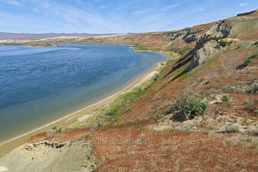 White Bluffs & the Columbia River [White Bluffs, Hanford Reach National Monument, Grant County, Washington]