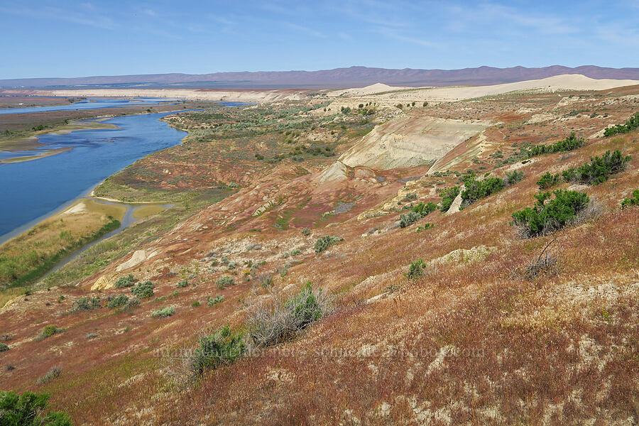 White Bluffs & the Columbia River [White Bluffs, Hanford Reach National Monument, Grant County, Washington]