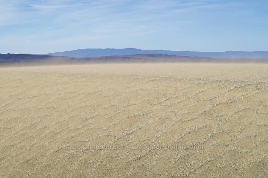 blowing sand [White Bluffs, Hanford Reach National Monument, Grant County, Washington]