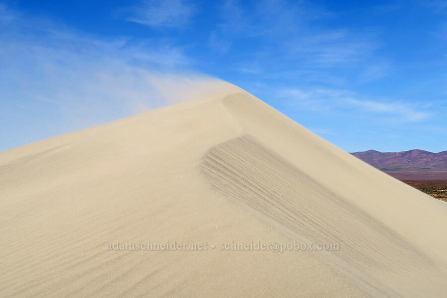 sand dune & blowing sand [White Bluffs, Hanford Reach National Monument, Grant County, Washington]