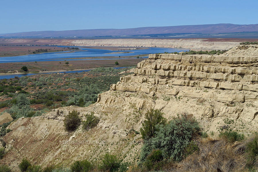 sandstone cliffs [White Bluffs, Hanford Reach National Monument, Grant County, Washington]