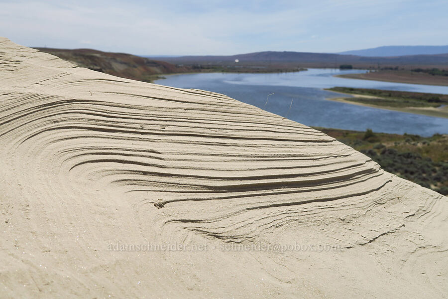 compacted dunes [White Bluffs, Hanford Reach National Monument, Grant County, Washington]