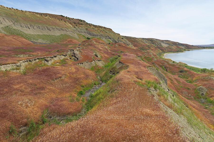 riverside cliffs & benches [White Bluffs, Hanford Reach National Monument, Grant County, Washington]