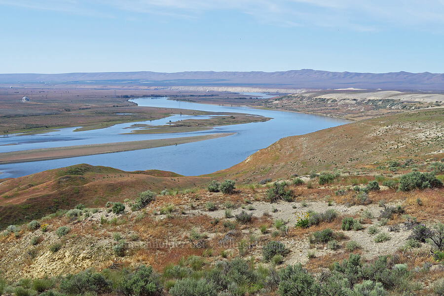 Columbia River & Saddle Mountains [White Bluffs Overlook, Hanford Reach National Monument, Franklin County, Washington]