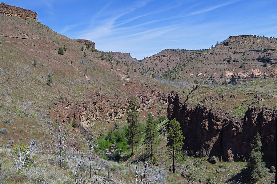 Whychus Creek Canyon [above Whychus Creek, Crooked River National Grassland, Jefferson County, Oregon]