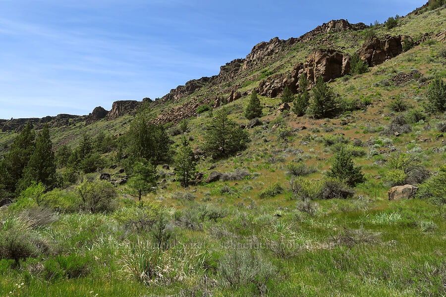 rimrock & scrub [Alder Springs Trail, Crooked River National Grassland, Jefferson County, Oregon]