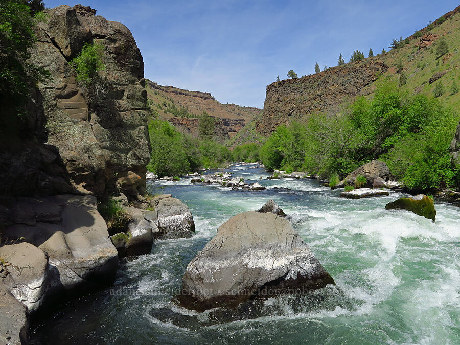 Deschutes River [Alder Springs Trail, Deschutes Canyon-Steelhead Falls WSA, Jefferson County, Oregon]