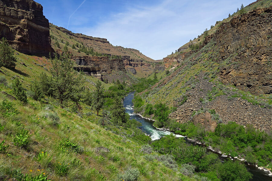 Deschutes River [above Whychus Creek, Deschutes Canyon-Steelhead Falls WSA, Jefferson County, Oregon]