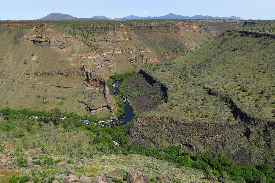 confluence of Whychus Creek & the Deschutes River [above Whychus Creek, Crooked River National Grassland, Jefferson County, Oregon]