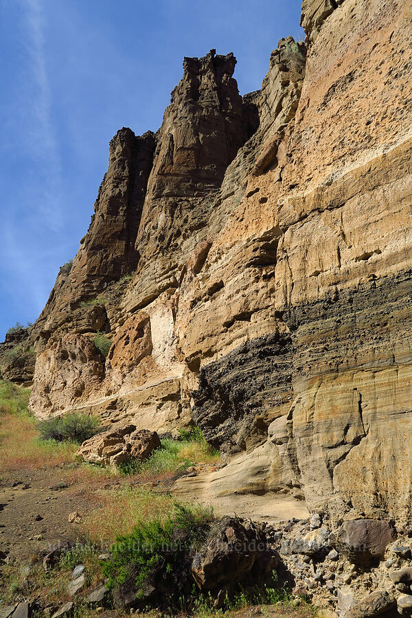 rock layers [Alder Springs Trail, Crooked River National Grassland, Jefferson County, Oregon]