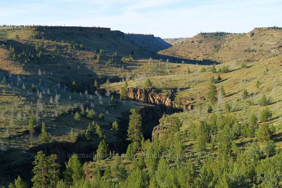 Whychus Creek Canyon [Alder Springs Trailhead, Crooked River National Grassland, Jefferson County, Oregon]