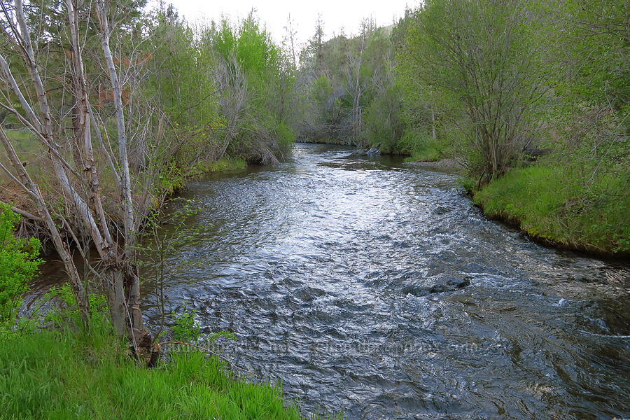 Whychus Creek road ford [Forest Road 6360, Crooked River National Grassland, Jefferson County, Oregon]